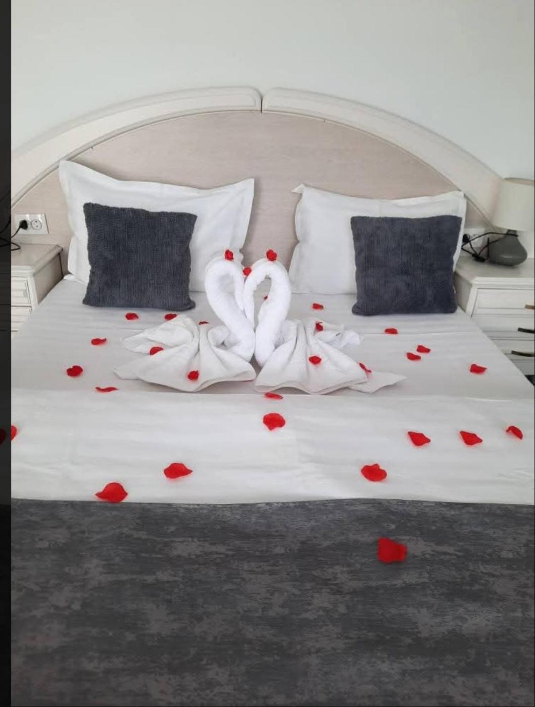 Vila Emma Rîşnov Extérieur photo